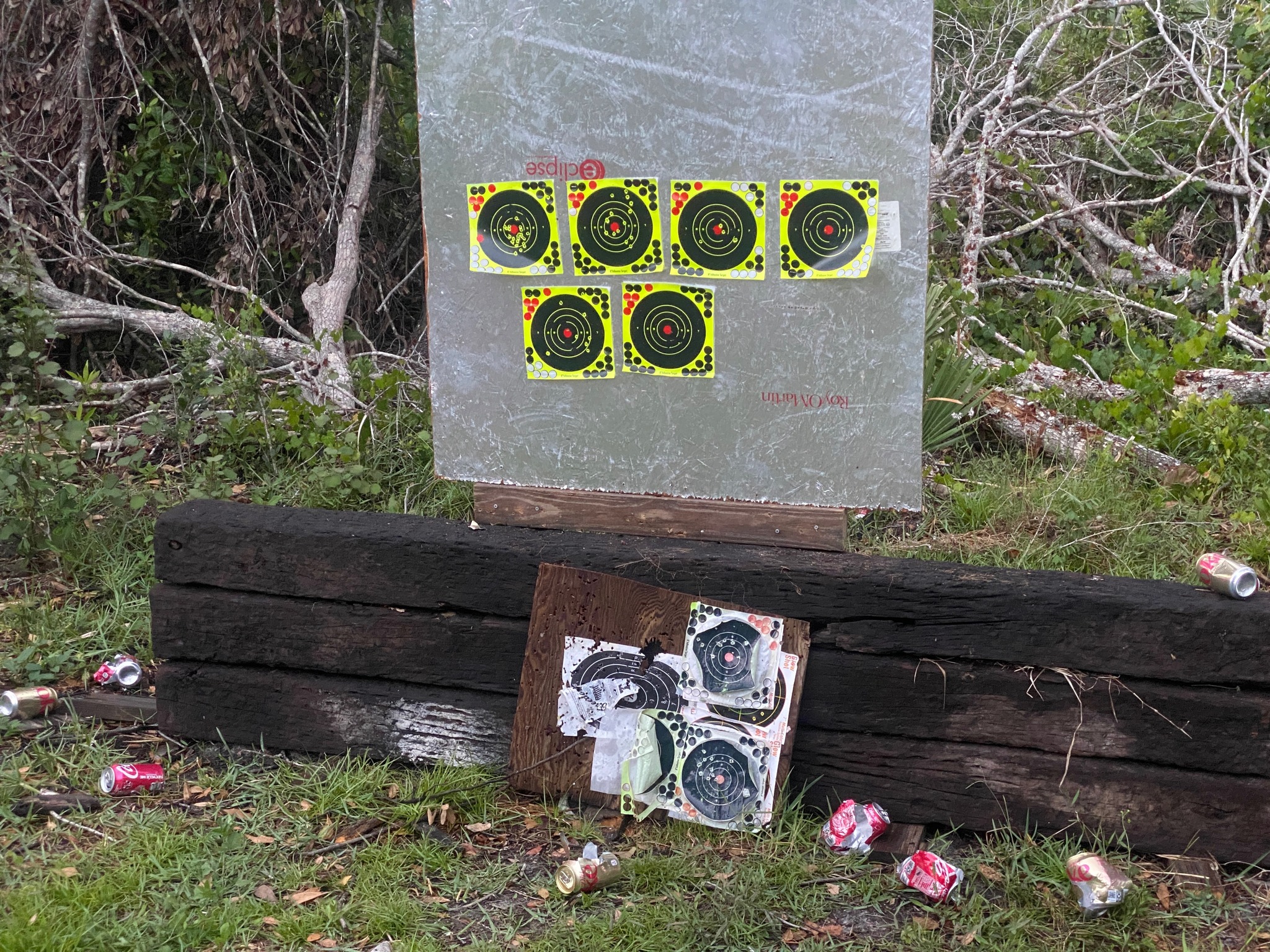 2023-03Plinking.jpg