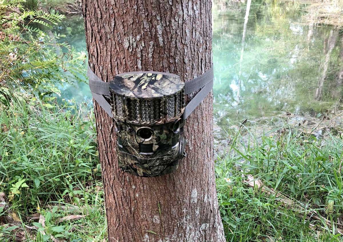 Moultrie810gamecam.jpg
