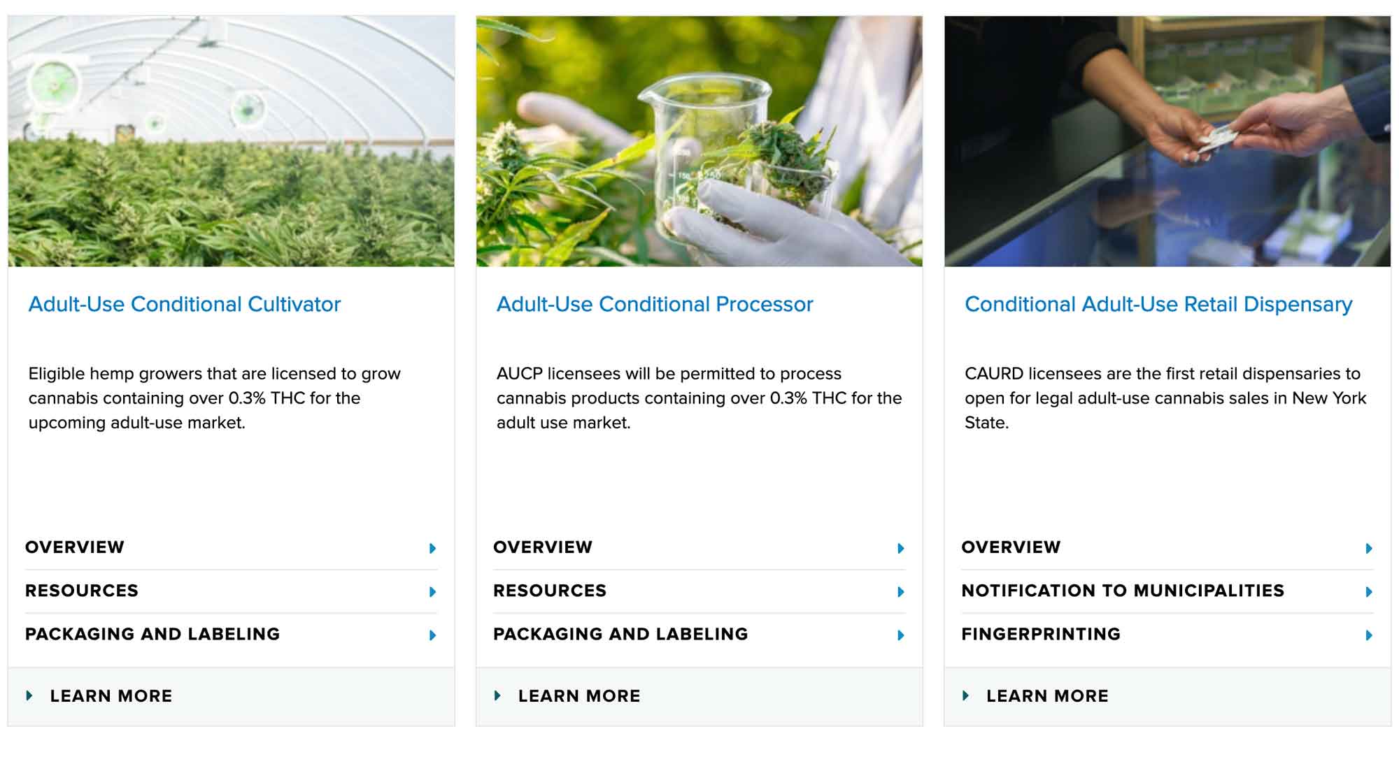 NYWeedLicenses.jpg