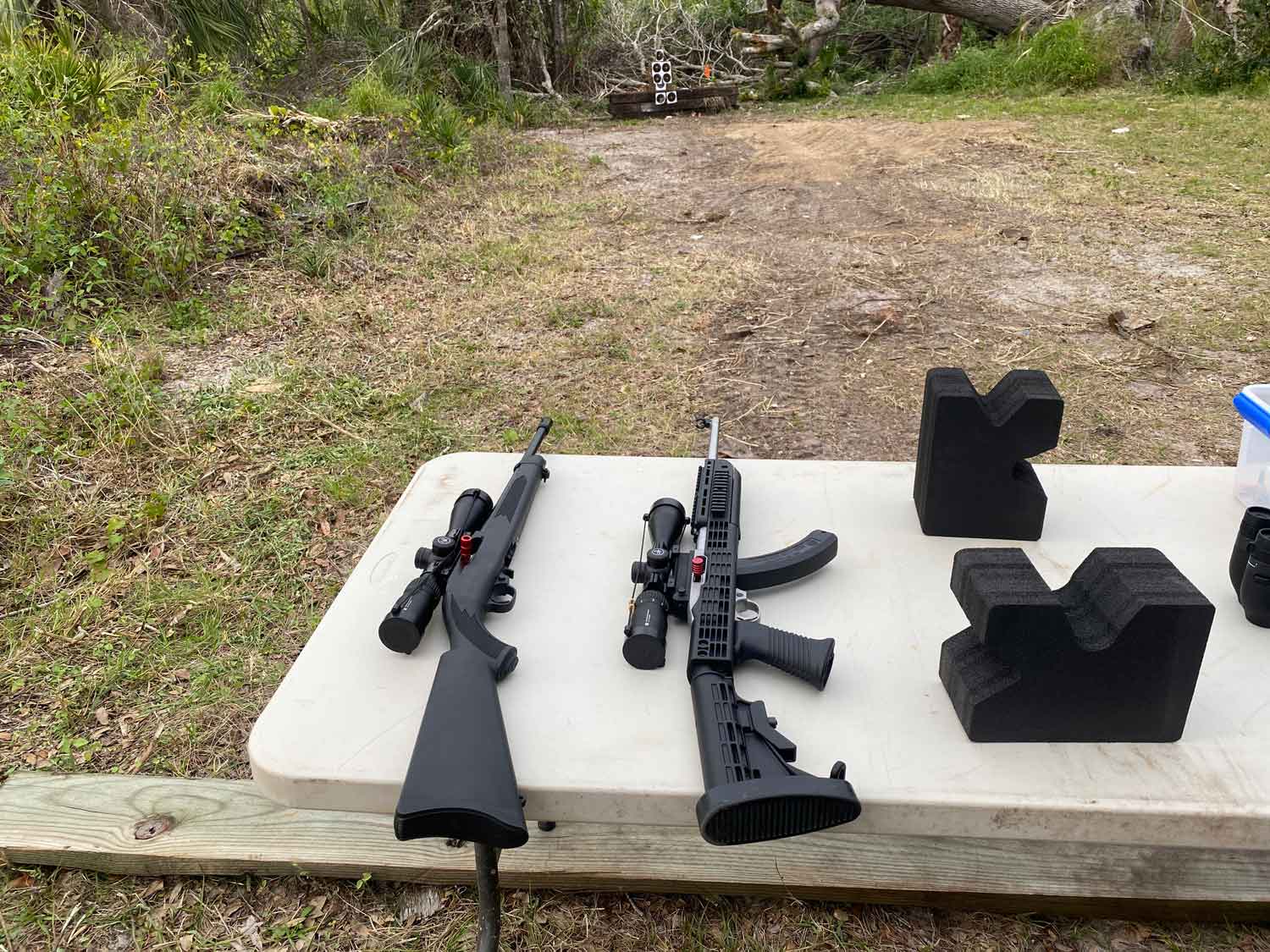 Ruger22s.jpg