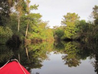 Prairie Creek Morning Light