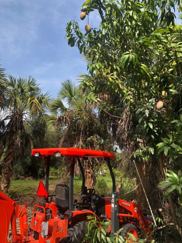 Unusual Tractor Jobs Tropical Boating