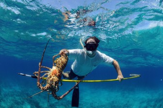 We were spearfishing off the Berry Islands.