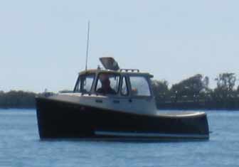 Acadia 21