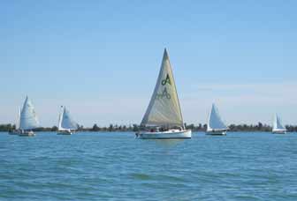 Alerion catboat sailing