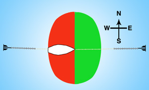 The anchors are set a little more than twice the required scope apart, with the boat in the center.