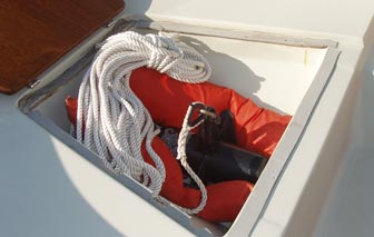 Wood rails around the perimiter of the steering console