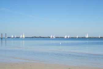 Catboats running downwind