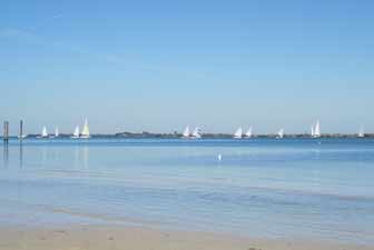 Catboats running downwind