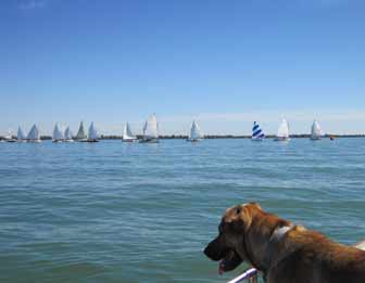 Catboats glass calm