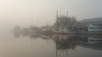 Derelict boats along Scipio Creek
