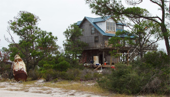 A Dog Island backyard.