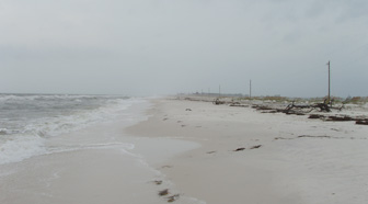 The narrow western end of Dog Island