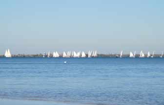 Dueling catboats