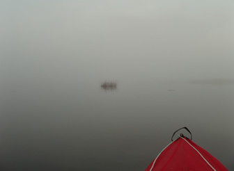 Foggy bayou