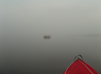 Foggy bayou