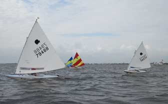 Four Sunfish