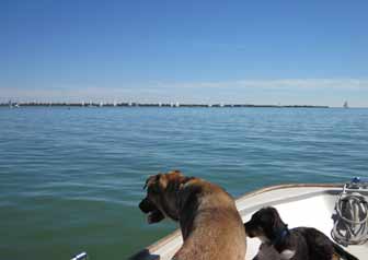 Libby and Luke watch the sailboat races