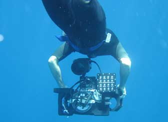 Luis Underwater Video