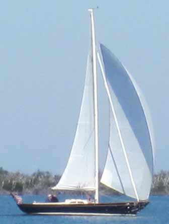 Morris 29 spinnaker