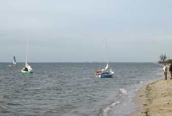 Mullet Rudder Set