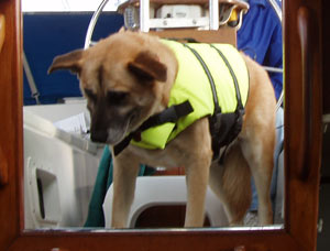Nicki peers longingly down the companionway