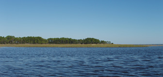 There's still a lot of untouched Florida wilderness