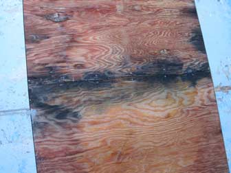 Plywood Seam Closeup