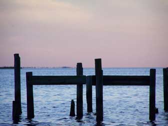 Redfish Pilings