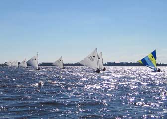 Fleet in Sun