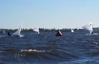 Sunfish in chop