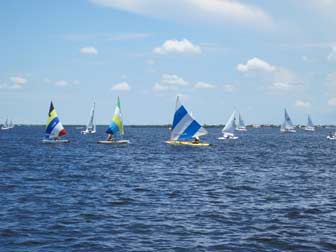 Small Sailboat Fleet