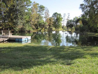 Pond Picture
