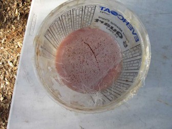 Pink, Bubbly Fiberglass Resin Cure