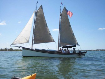 Egret Sailing