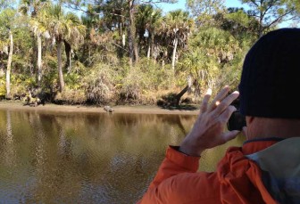 Don Photographs Alligator