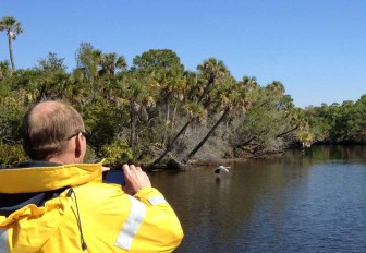 Mike Photographs Great Blue Heron