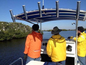 Myakka Bird Rookery