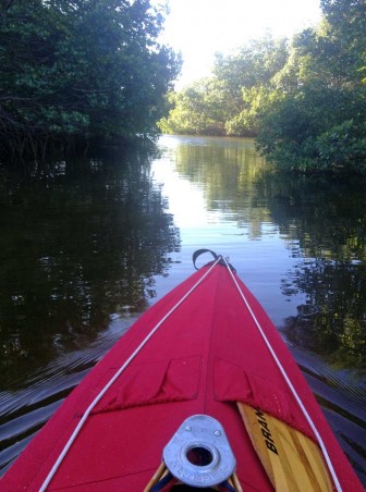 Klepper Paddling Weedon Island