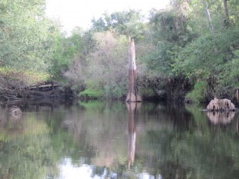 Prairie Creek High Water