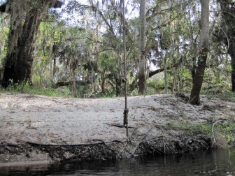 Prairie Creek Rope Swing